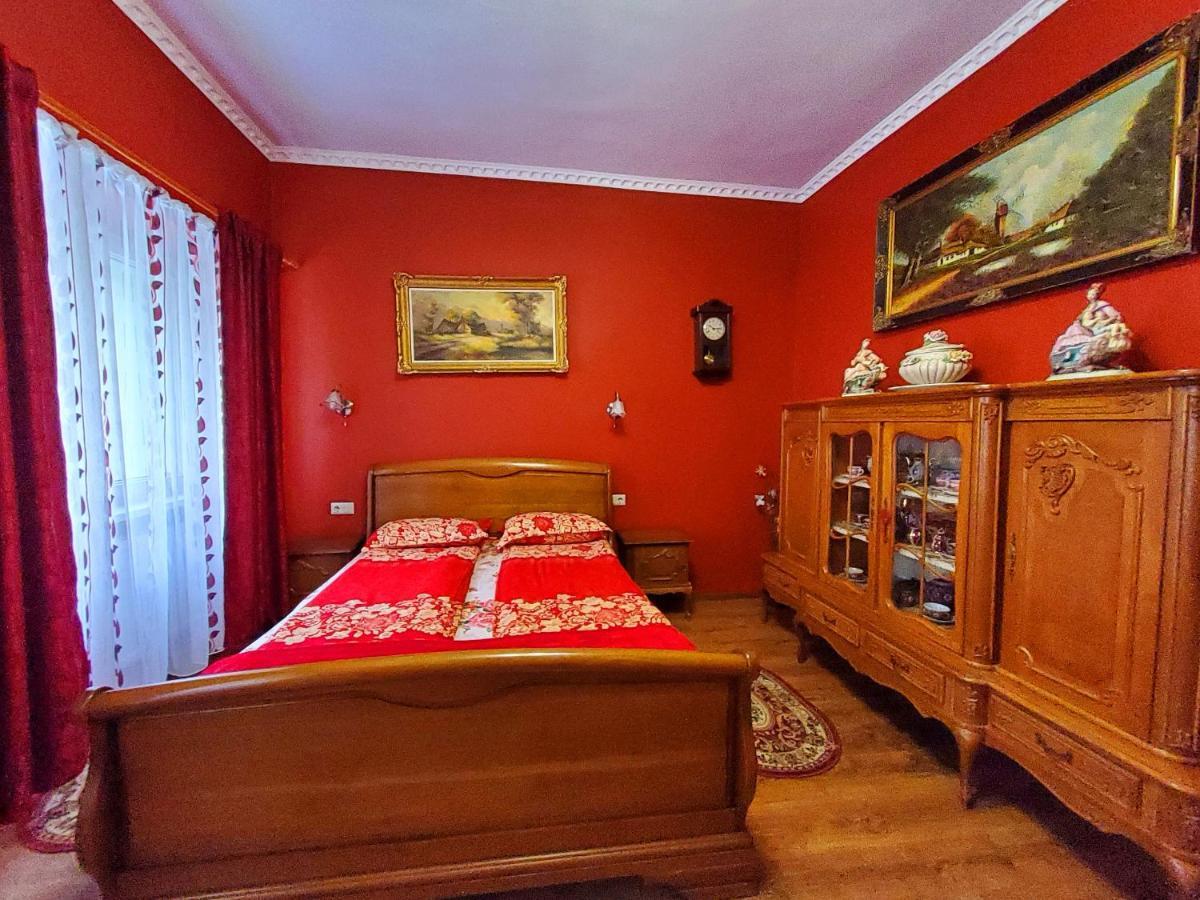 Hotel Sissy Vendeghaz Tîrgu Secuiesc Zewnętrze zdjęcie