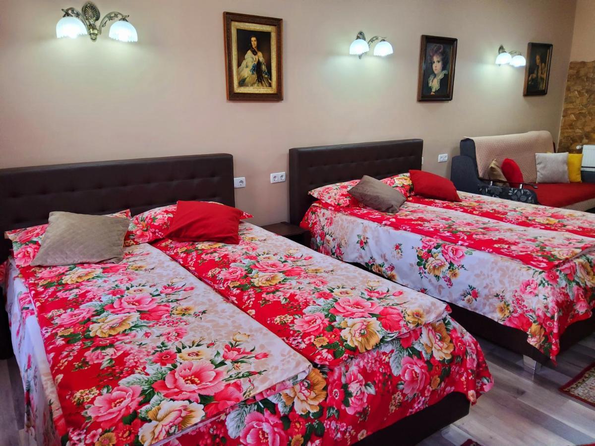 Hotel Sissy Vendeghaz Tîrgu Secuiesc Zewnętrze zdjęcie